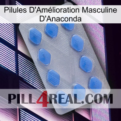 Anaconda Male Enhancement Pills